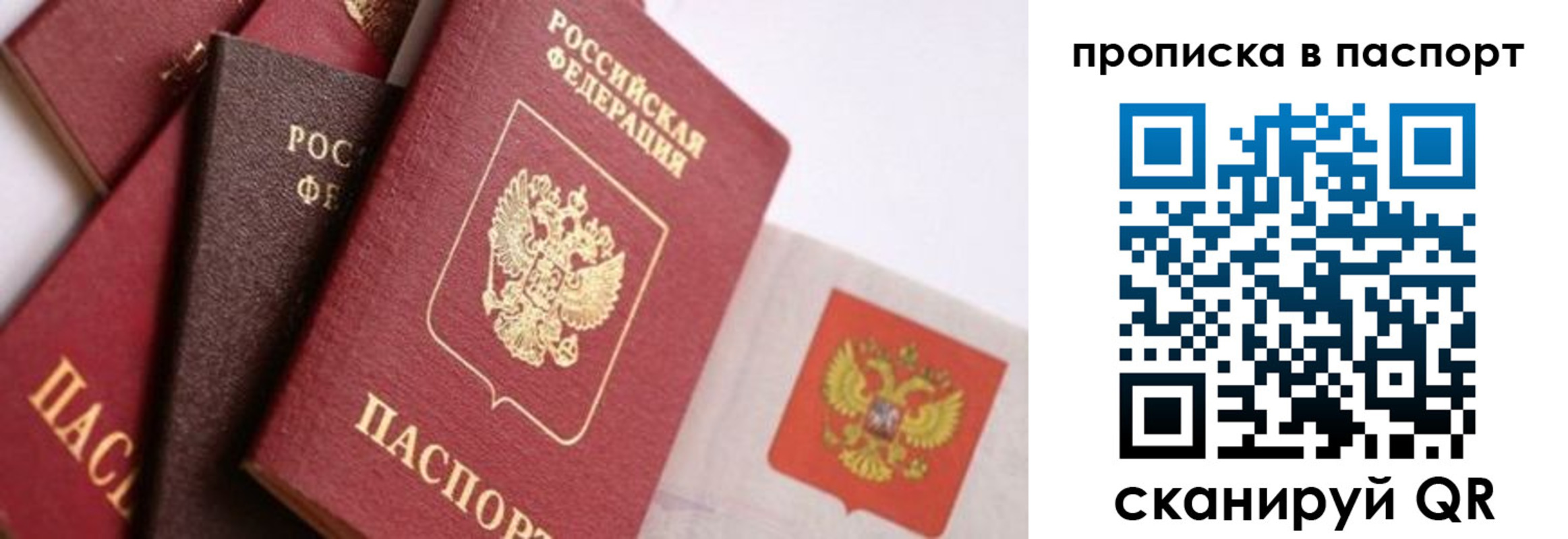 регистрация для школы в Пугачёве